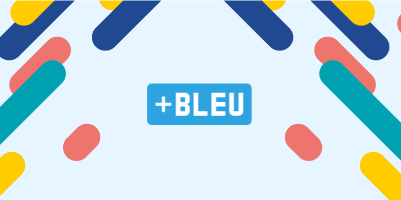 Understanding Bleu Scores In Customized Machine Translation