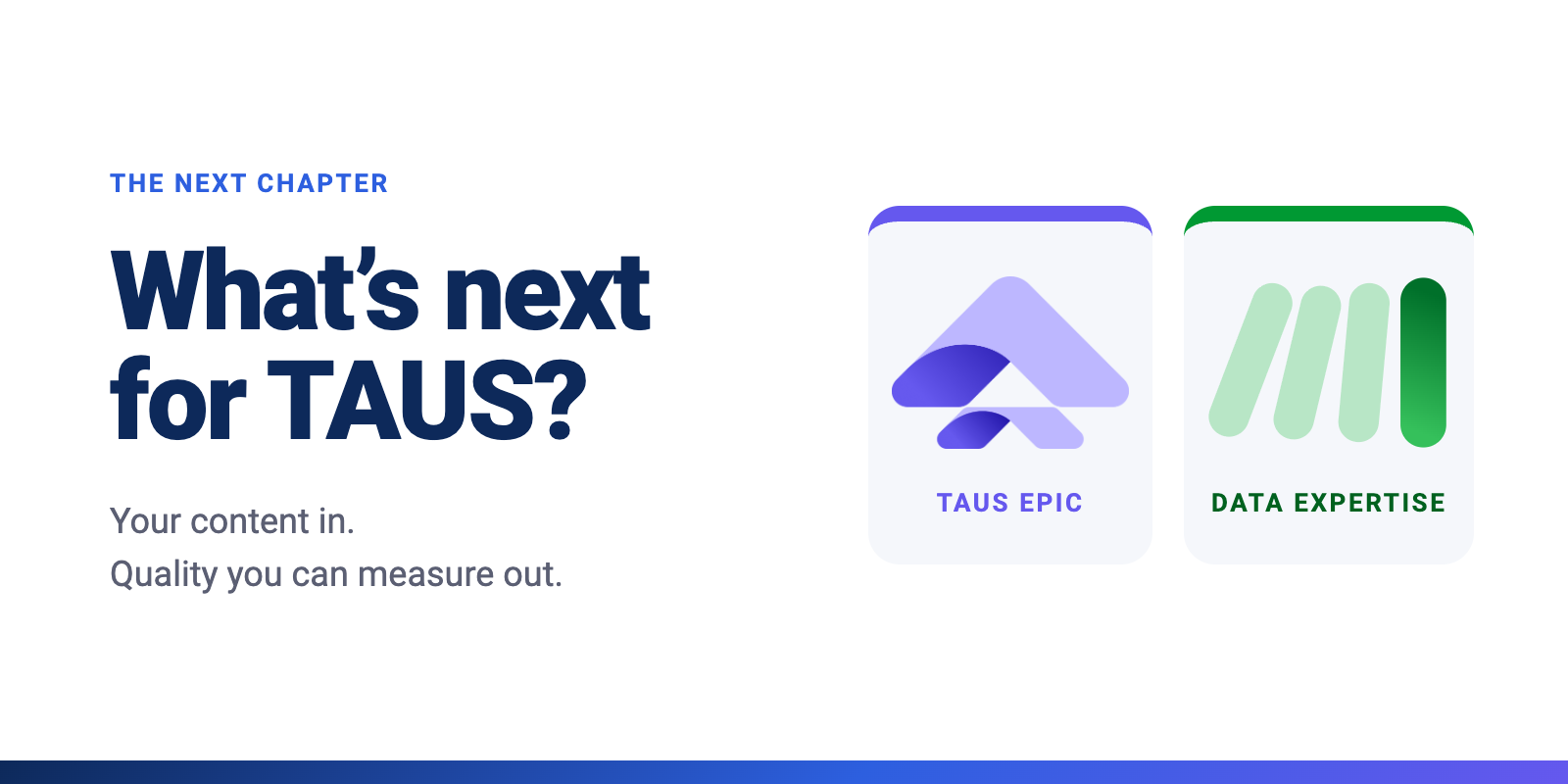 What's Next For TAUS?